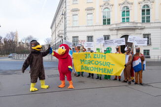 Bild 2 / 14