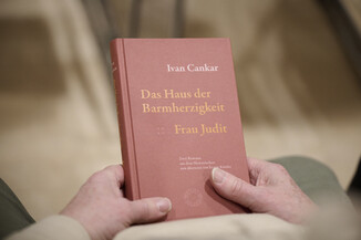 Bild 9 / 44