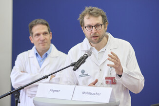Bild 7 / 22