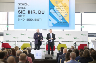 Bild 119 / 786