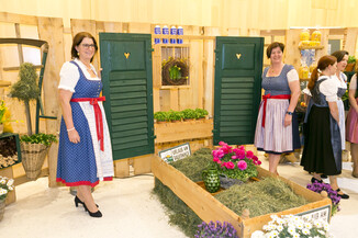Bild 528 / 1837
