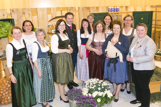 Bild 529 / 1837