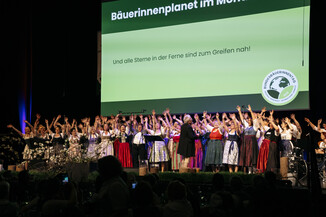 Bild 1316 / 1837