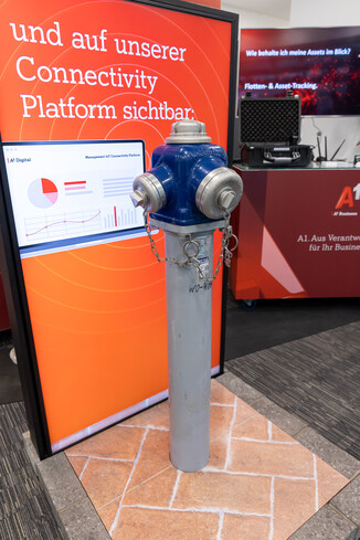 Bild 8 / 406