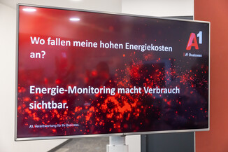 Bild 9 / 406