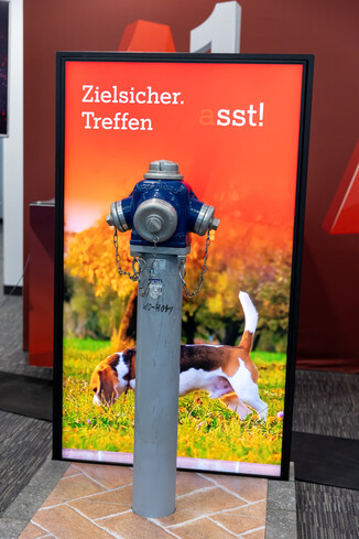 Bild 26 / 406
