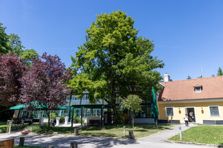 Bild 106 / 194