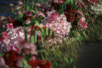 Bild 342 / 501