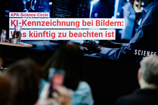 Bild 11 / 67