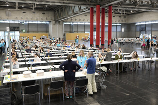 Bild 15 / 31