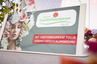 Bild 12 / 156