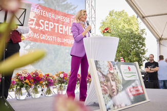 Bild 34 / 156