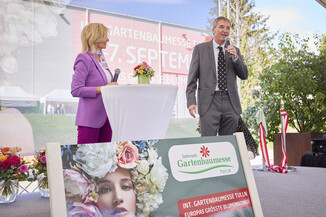 Bild 54 / 156