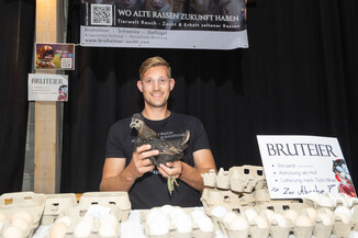 Bild 13 / 165