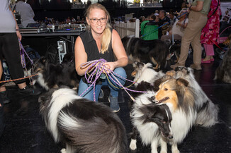 Bild 43 / 165