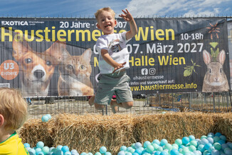 Bild 90 / 165