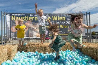 Bild 92 / 165
