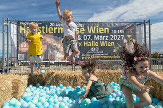 Bild 93 / 165