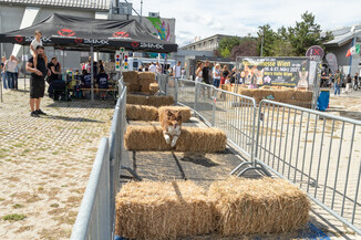 Bild 94 / 165