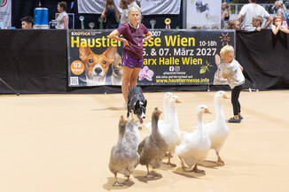 Bild 142 / 165