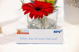 Bild 237 / 248