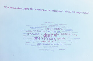 Bild 174 / 261